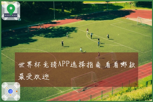 世界杯竞猜APP选择指南 看看哪款最受欢迎