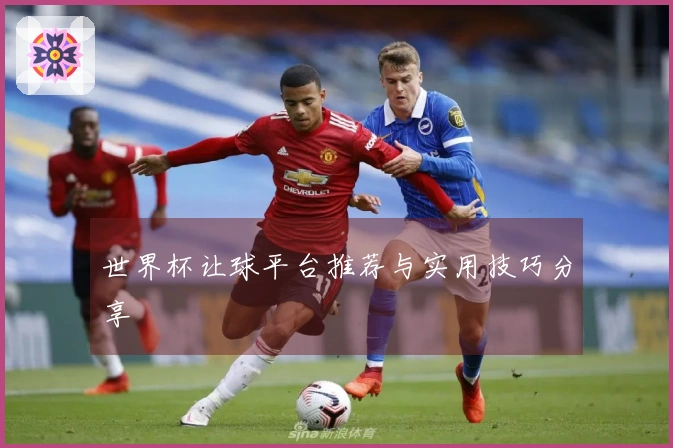 世界杯让球平台推荐与实用技巧分享