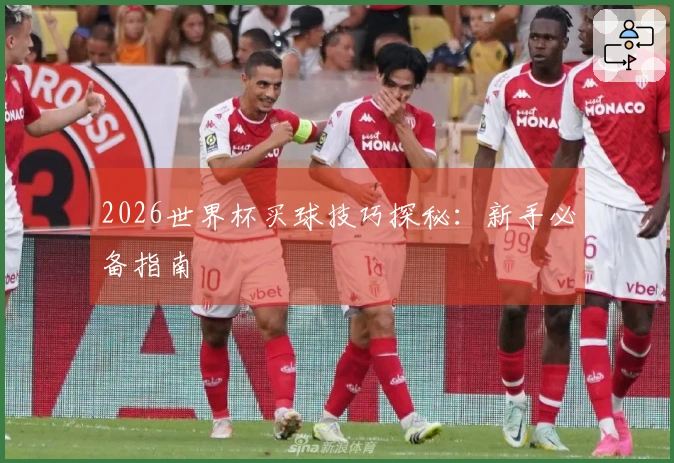 2026世界杯买球技巧探秘：新手必备指南