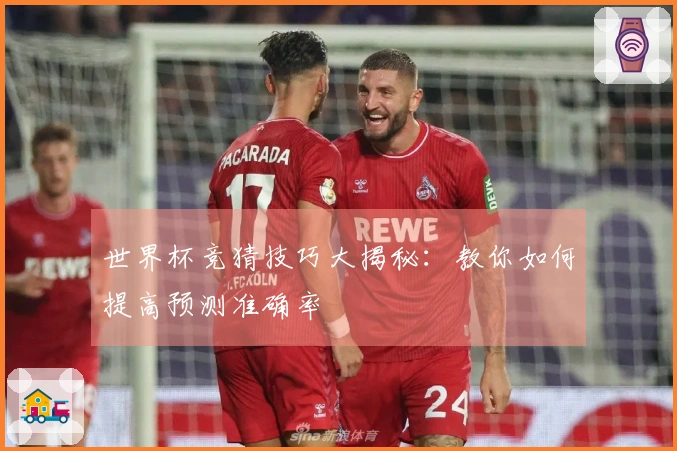 世界杯竞猜技巧大揭秘：教你如何提高预测准确率