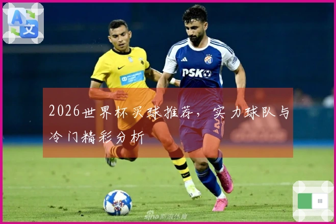 2026世界杯买球推荐，实力球队与冷门精彩分析