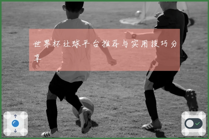 世界杯让球平台推荐与实用技巧分享
